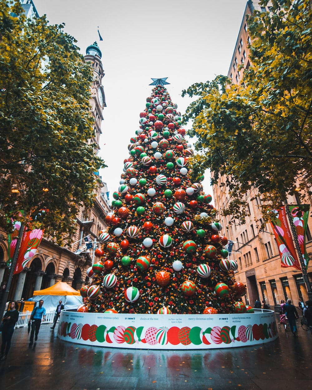 Árbol Navideño Colorido Australiano Fondos de pantalla
