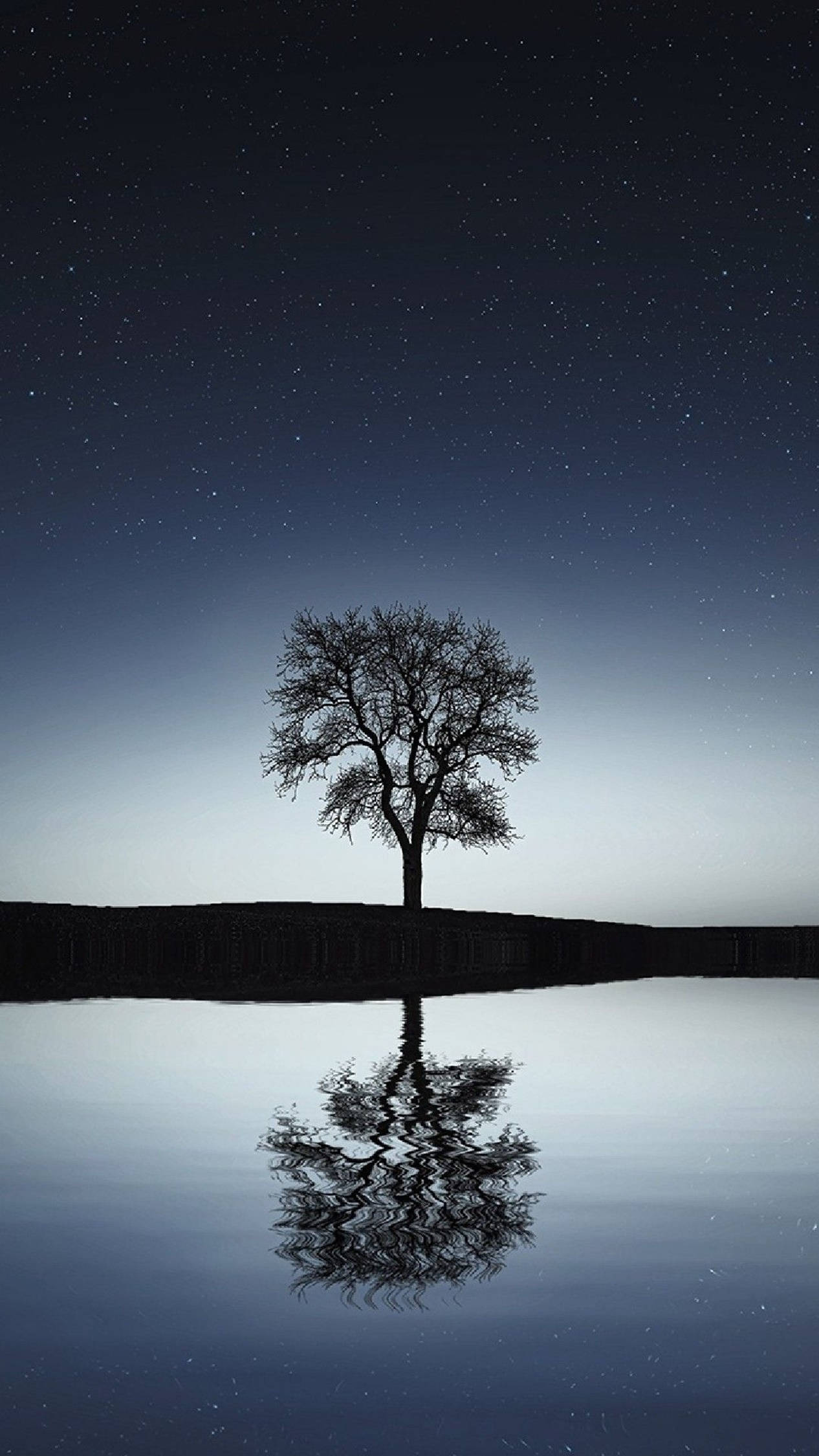 Árbol Negro 4K Android Fondos de pantalla