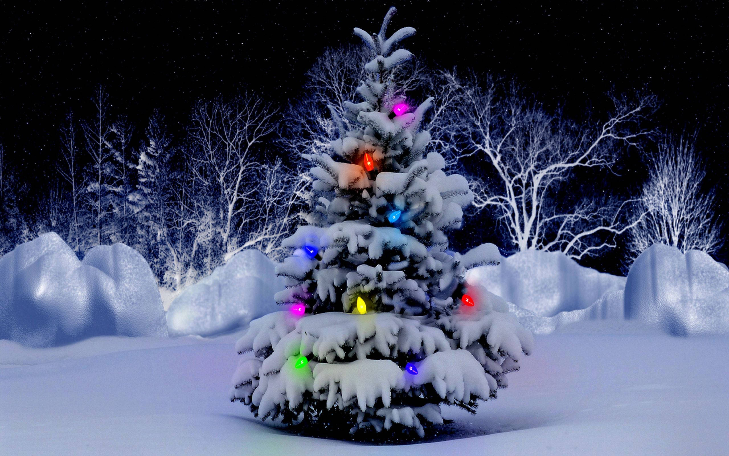 Árbol Nevado de Navidad para Escritorio Fondos de pantalla