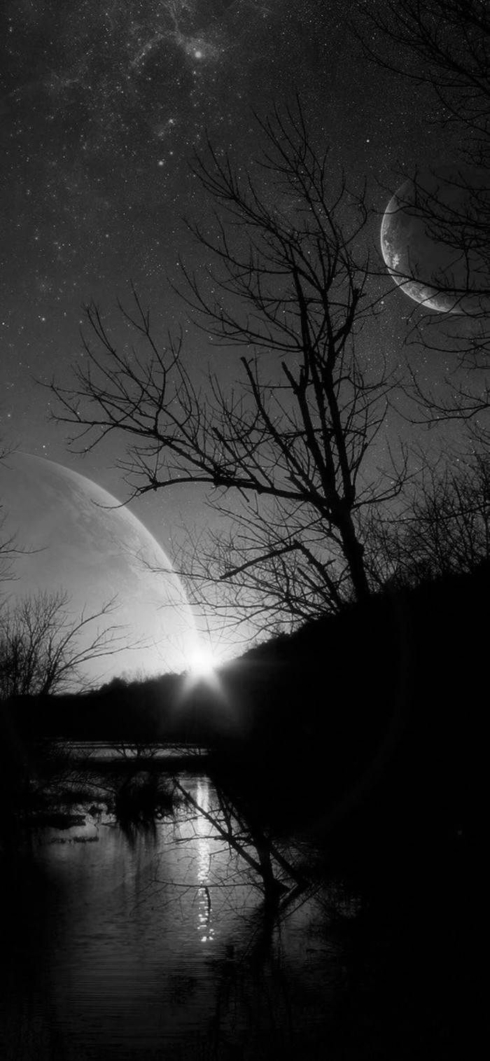 Árbol seco bajo la luna fondo negro sólido iPhone Fondos de pantalla