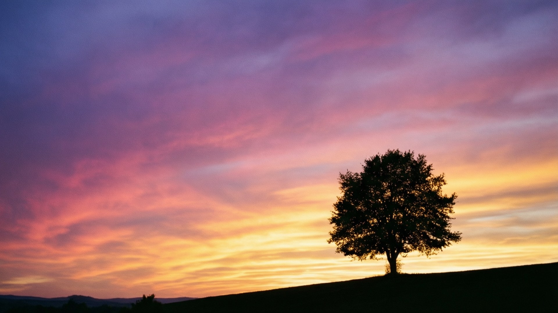 Árbol Solitario al Atardecer Fondos de pantalla