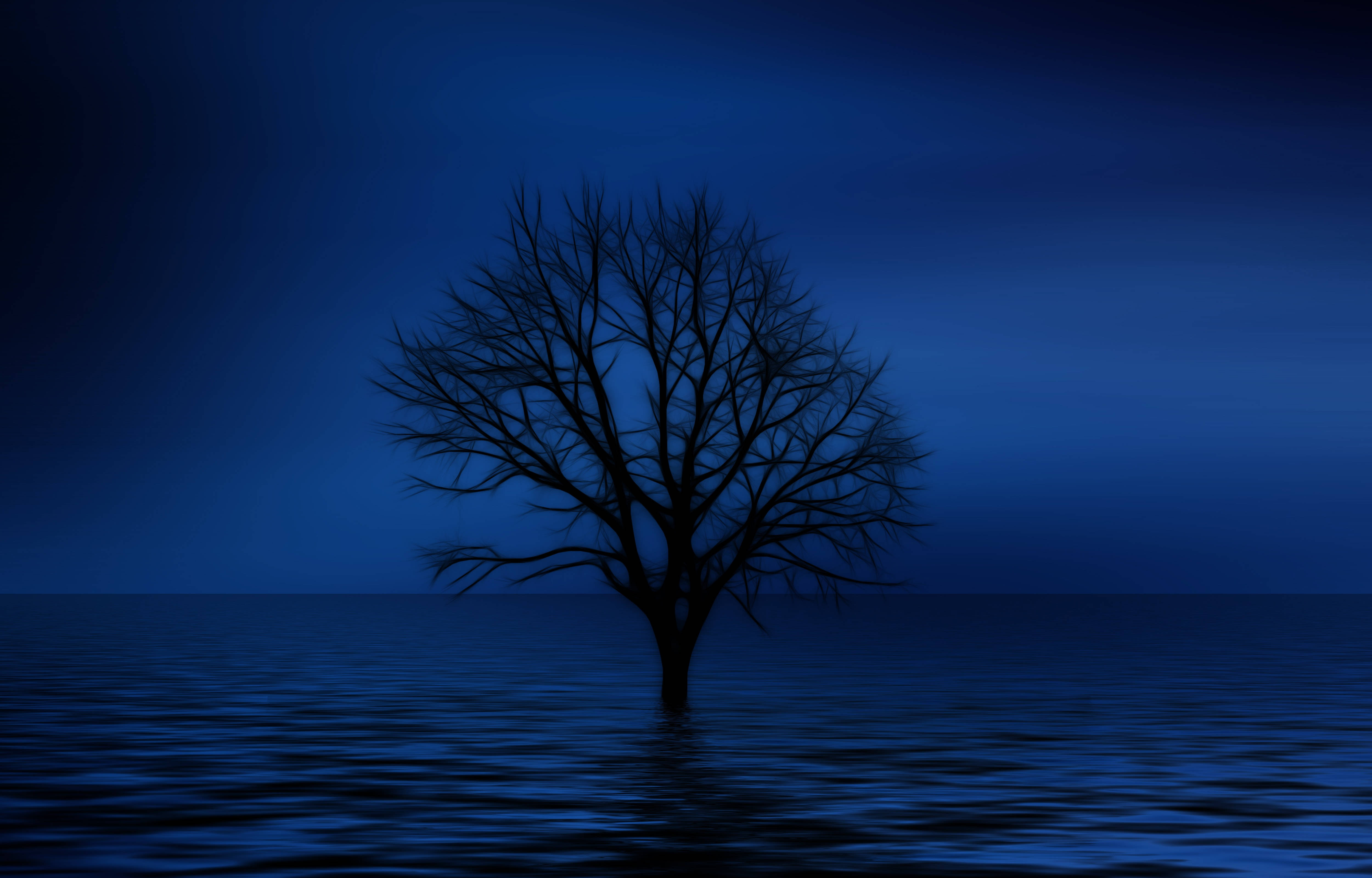 Árbol Solitario Azul 4K Fondos de pantalla