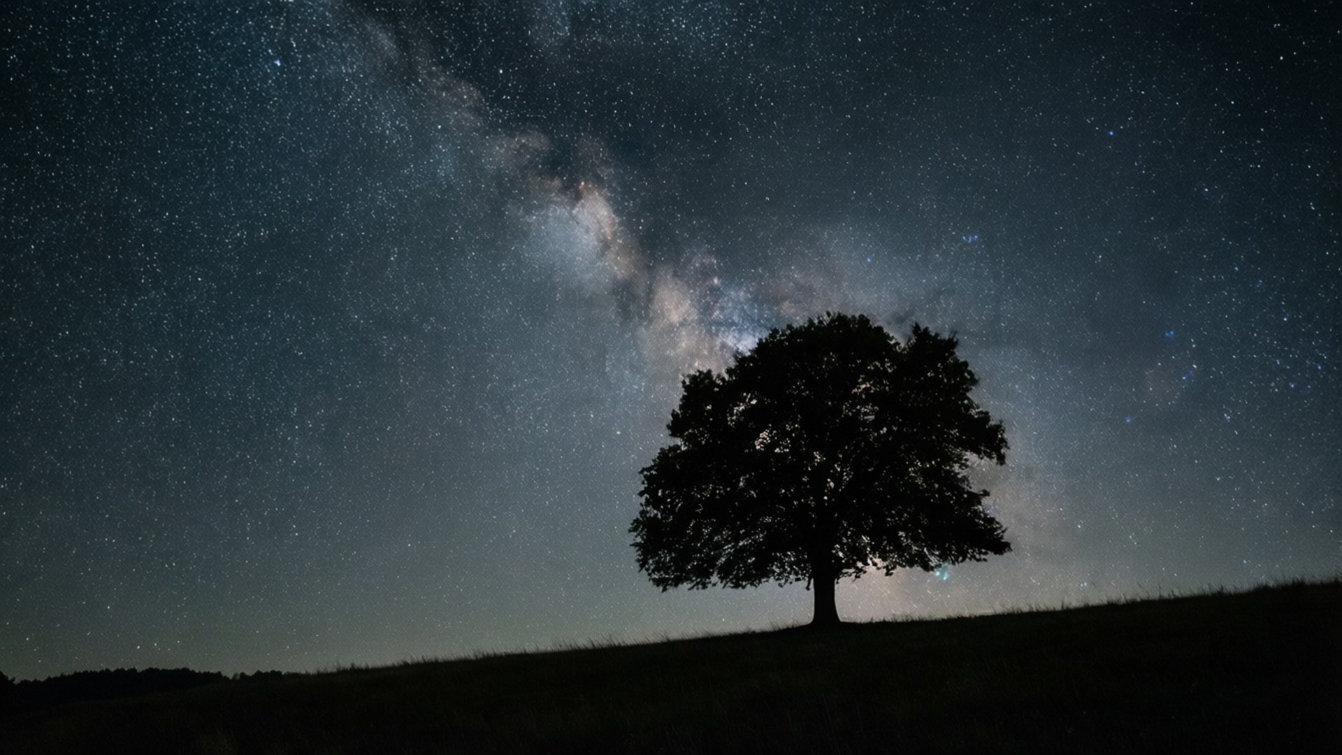 Árbol solitario bajo las estrellas Fondos de pantalla