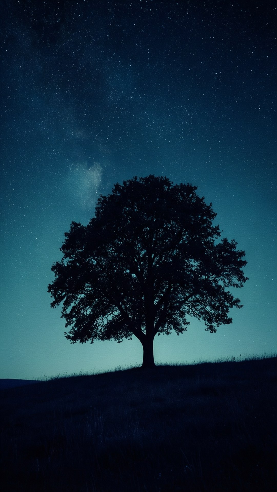 Árbol solitario bajo las estrellas Fondos de pantalla