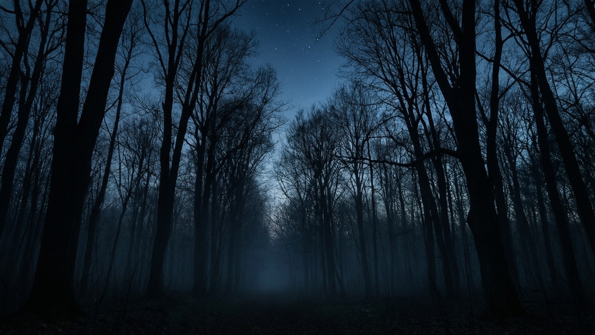 Arboleda del Crepúsculo Fondos de pantalla