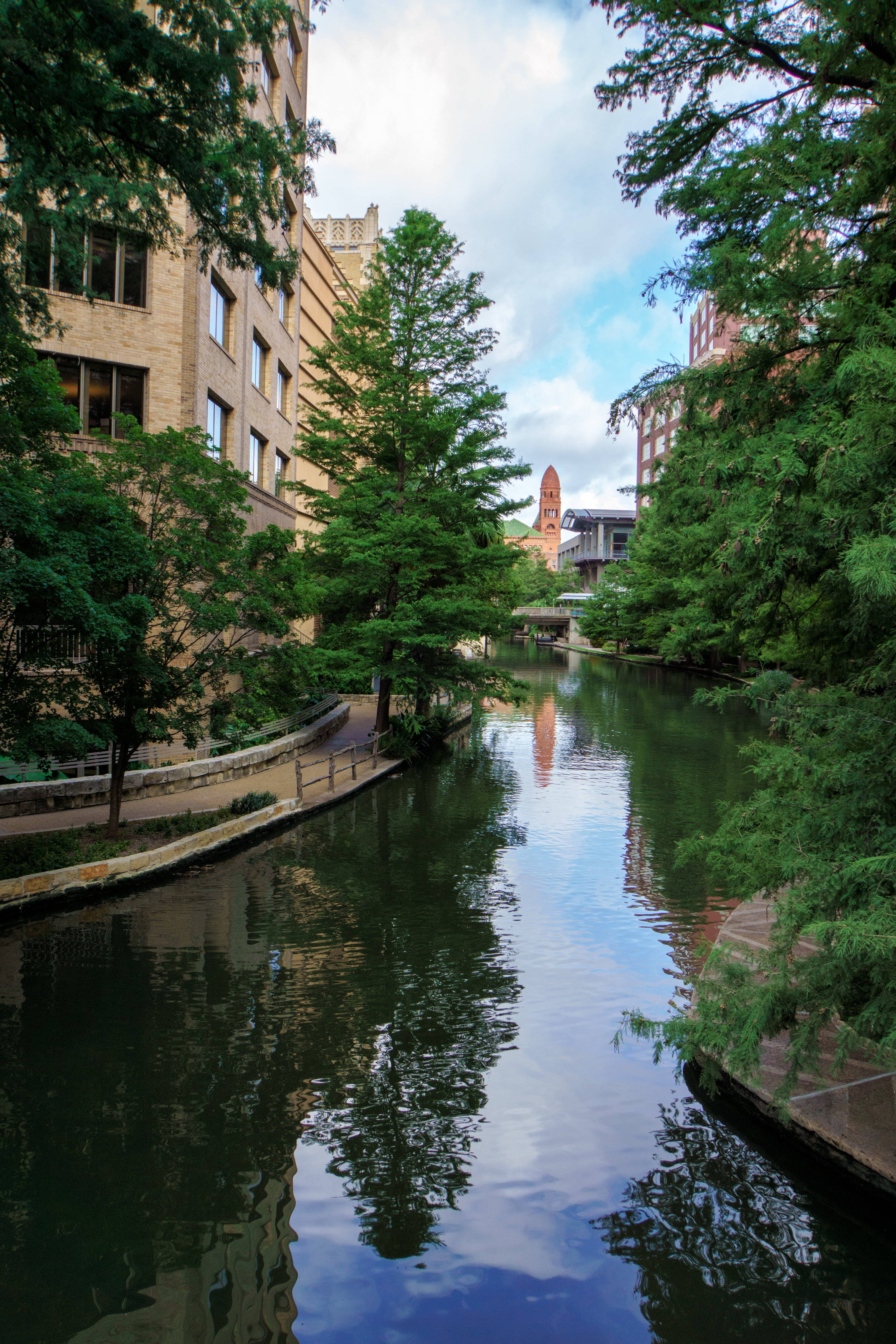Árboles a lo Largo del Paseo del Río San Antonio Fondos de pantalla