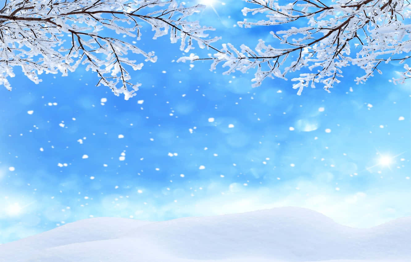 Árboles cubiertos de nieve y nieve cayendo al suelo Fondos de pantalla