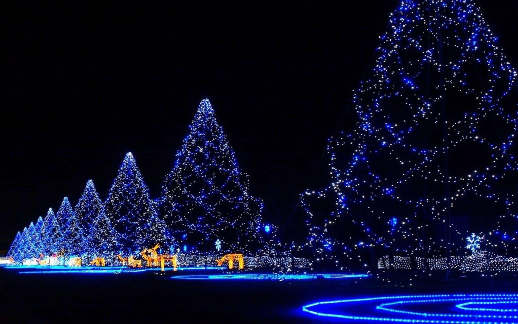 Árboles de Navidad Azules Fondos de pantalla