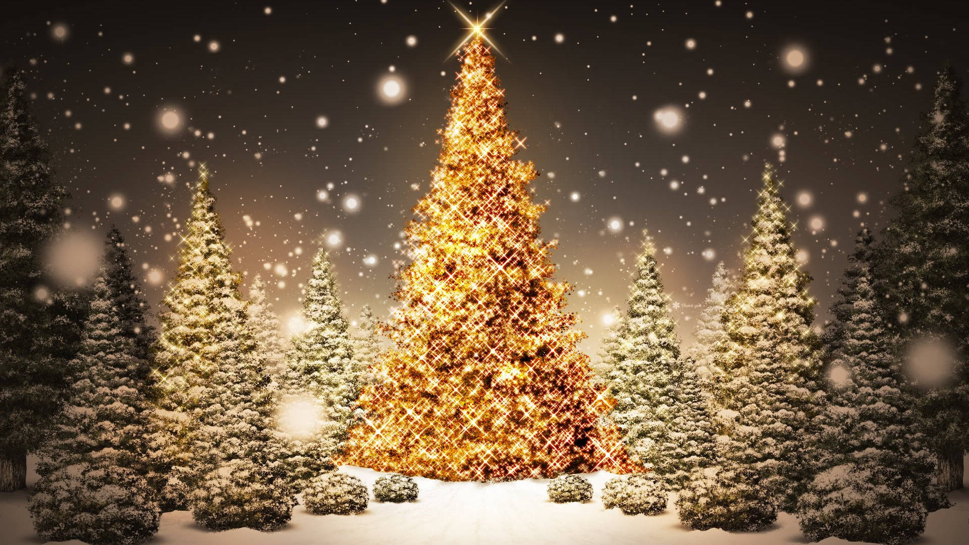 Árboles de Navidad Brillantes y Hermosos Fondos de pantalla