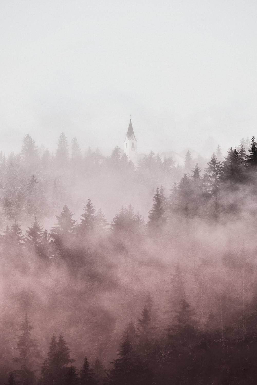 Árboles de Niebla Pastel para iPhone Fondos de pantalla