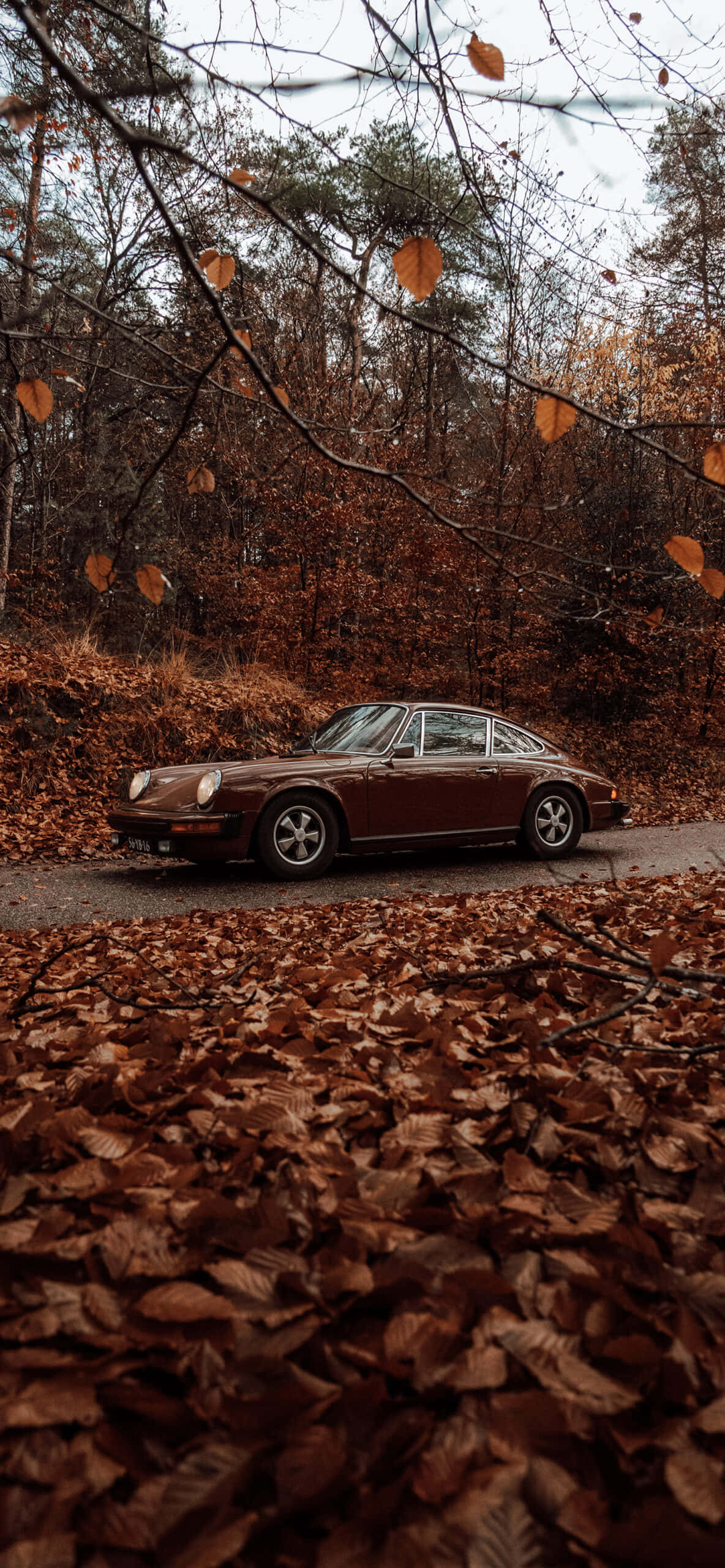 Árboles Otoñales Estilo Vintage con Coche Fondos de pantalla