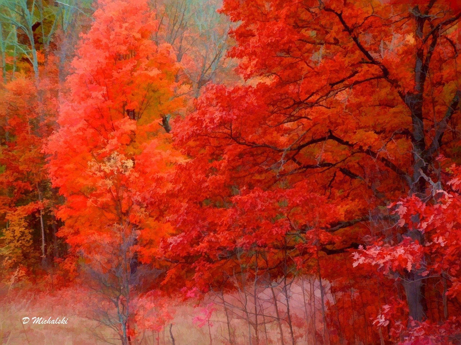 Árboles Rojos en Naturaleza 4K Fondos de pantalla