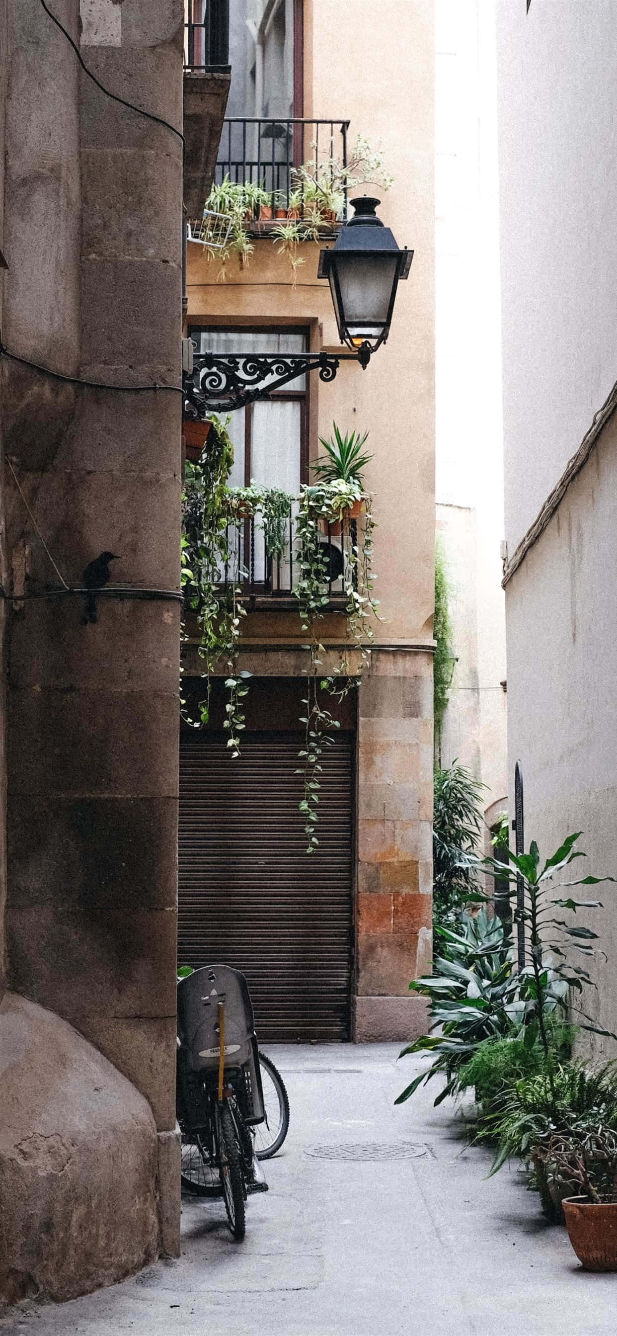 Arquitectura tradicional española en Madrid, España Fondos de pantalla