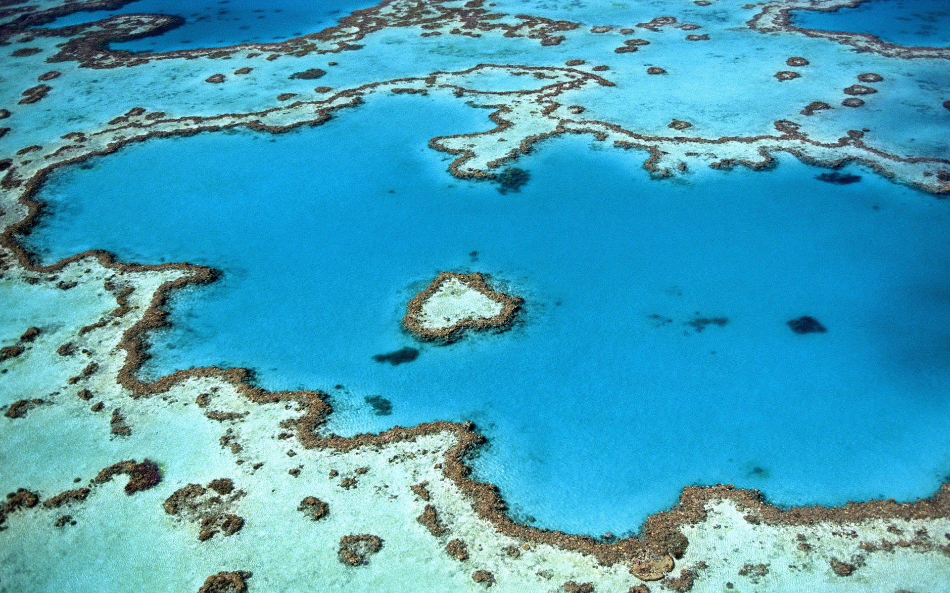 Arrecife de Coral Azul Fresco Australia Fondos de pantalla