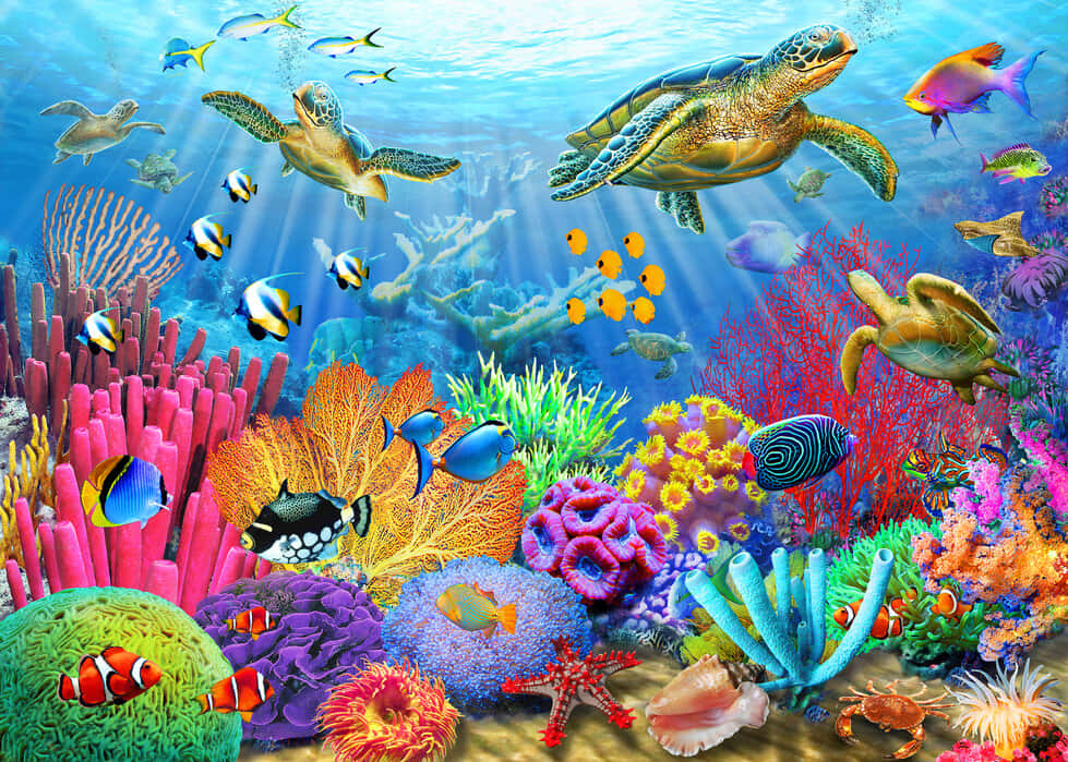 Arrecife de Coral Criaturas Tropicales Submarinas Imagen Fondos de pantalla