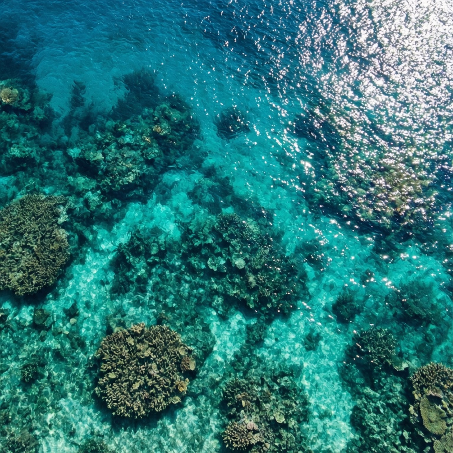 Arrecife Turquesa Aéreo Fondos de pantalla