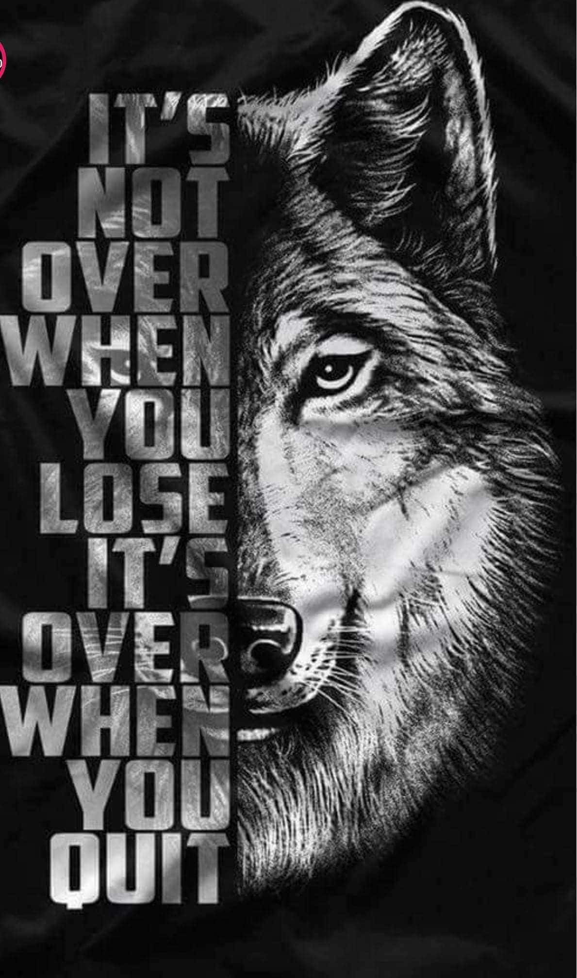 Arte Abstracto de un Lobo Genial Fondos de pantalla