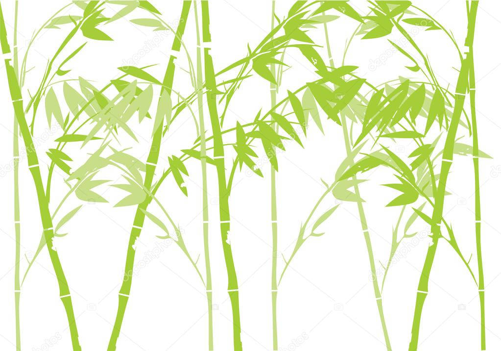 Arte Abstracto de Bambú 4K Fondos de pantalla