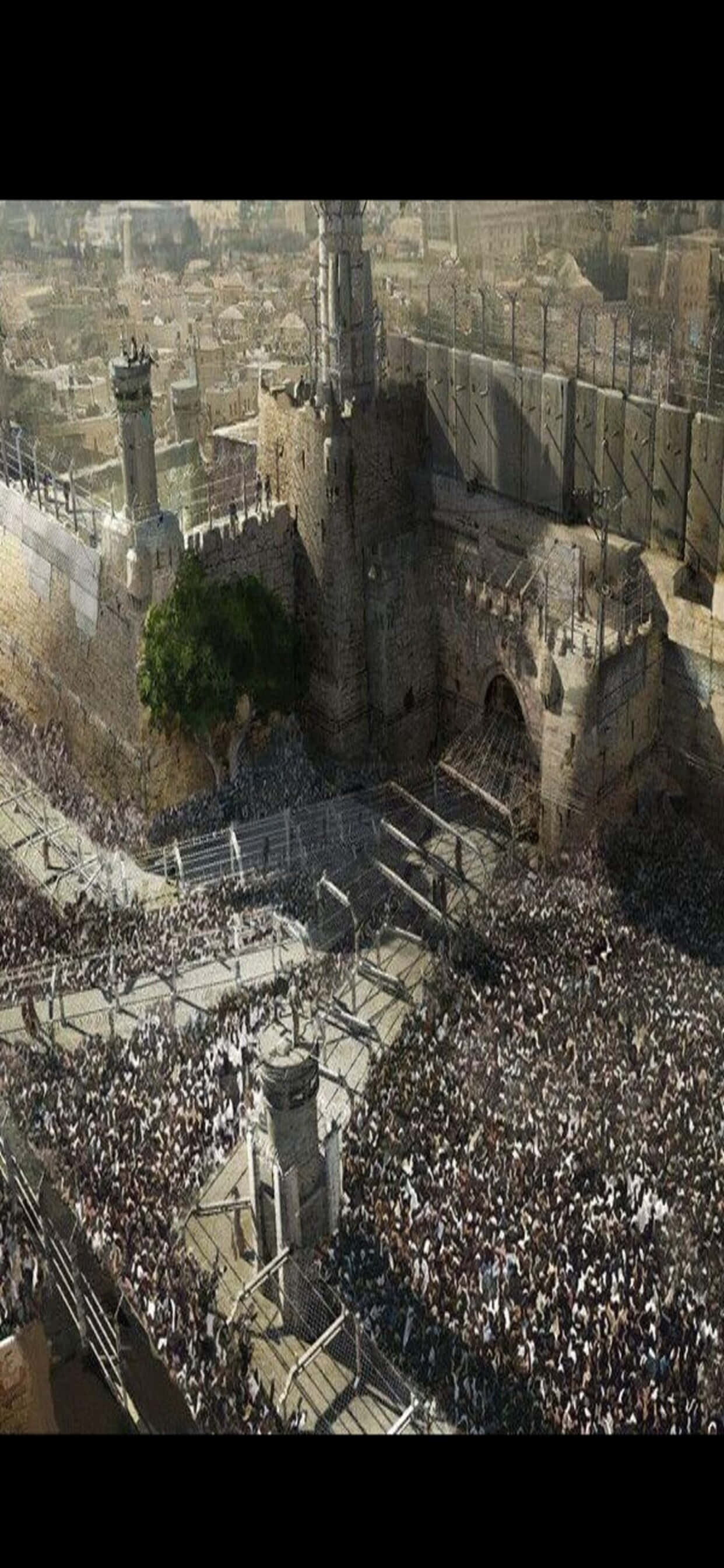 Arte conceptual: Fondo de World War Z para iPhone XS Max Fondos de pantalla