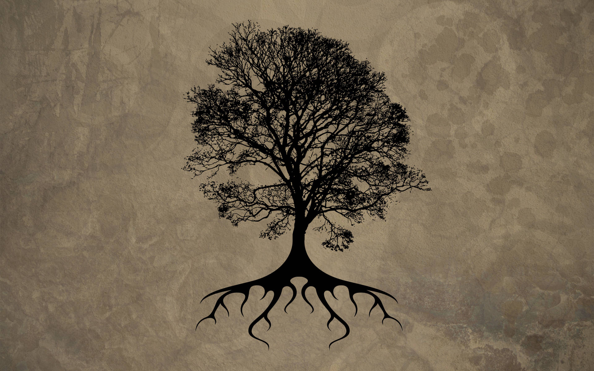 Arte de Árbol en la Naturaleza 4K Fondos de pantalla