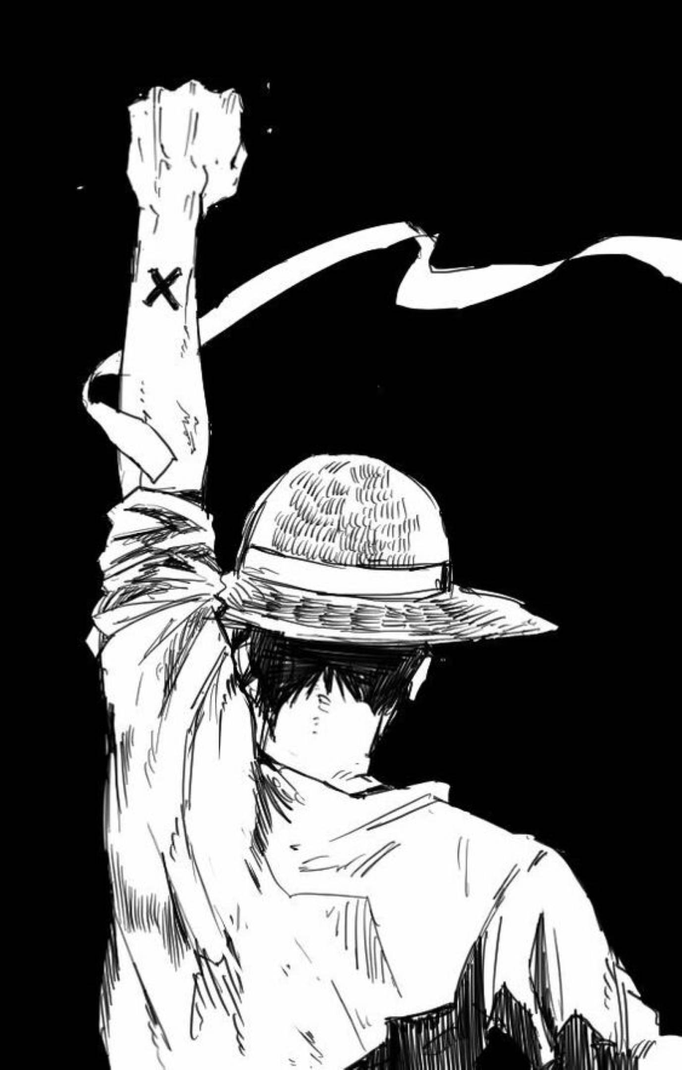 Monkey D Luffy Arte Boceto Espalda Fondos de pantalla