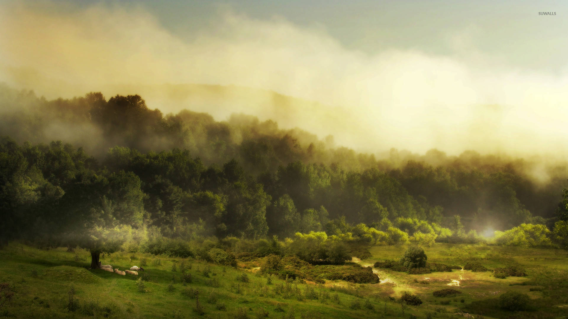 Arte de Bosque Neblinoso con Campo Verde Fondos de pantalla
