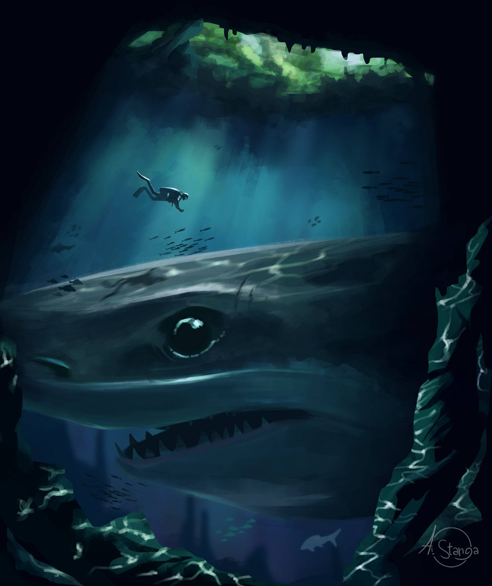 Arte de Buzo y Tiburón Fondos de pantalla