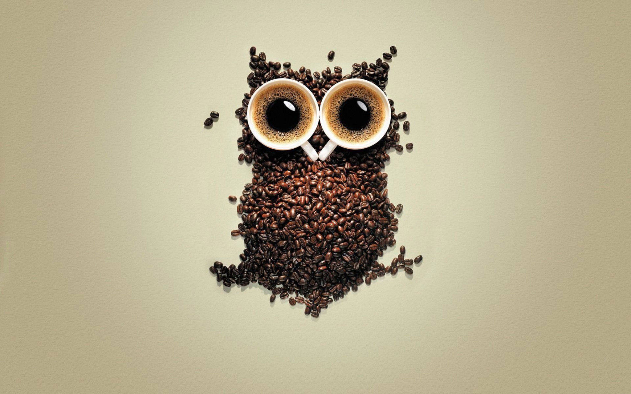 Arte de café con búho lindo Fondos de pantalla