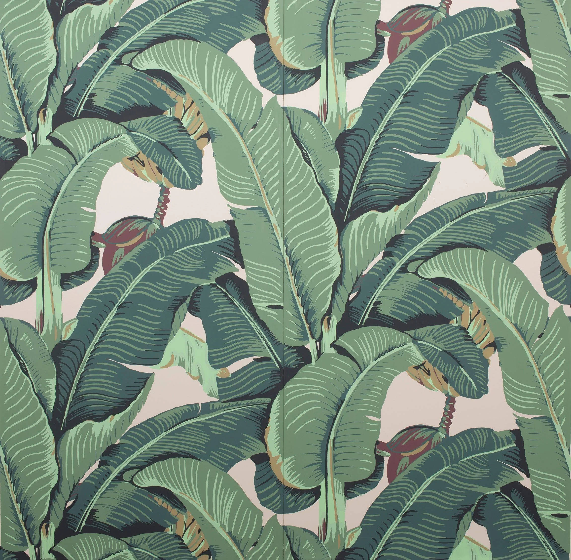 Arte de frondosas hojas de plátano Fondos de pantalla