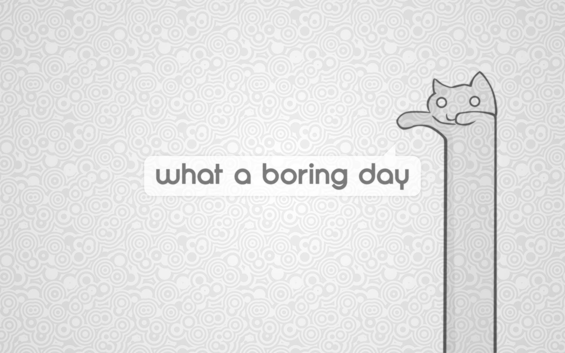 Arte de Gato Caricaturesco de Día Aburrido Fondos de pantalla