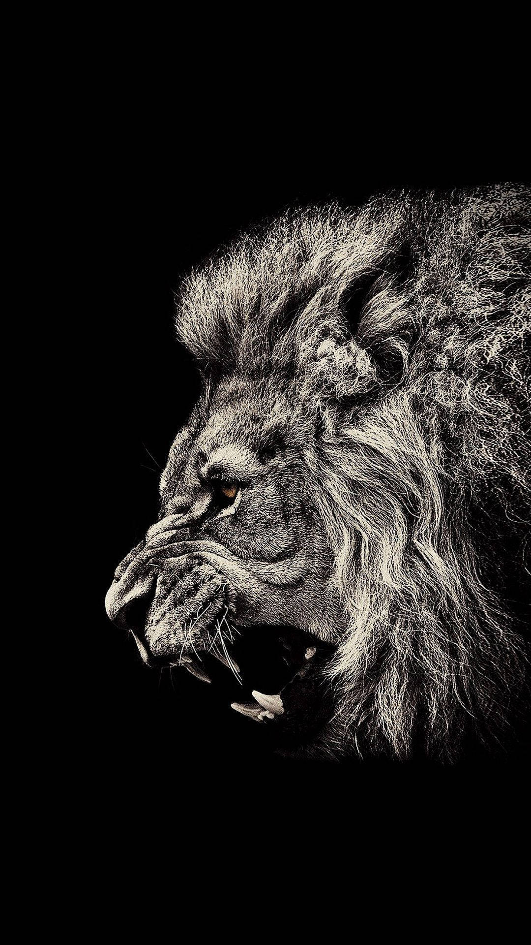 Arte de León Enojado para iPhone Fondos de pantalla