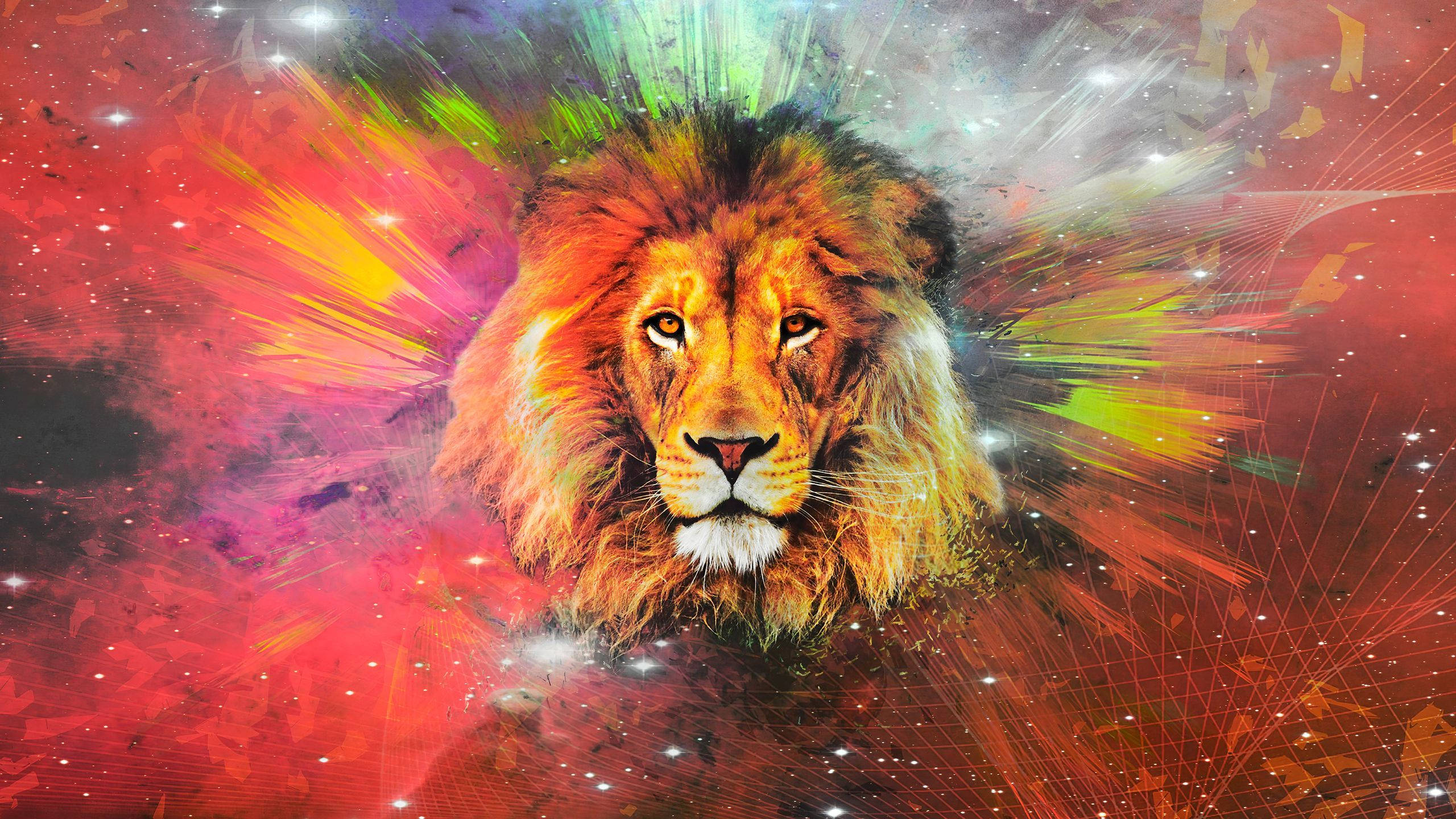 Arte de León Galaxia Naranja Fondos de pantalla