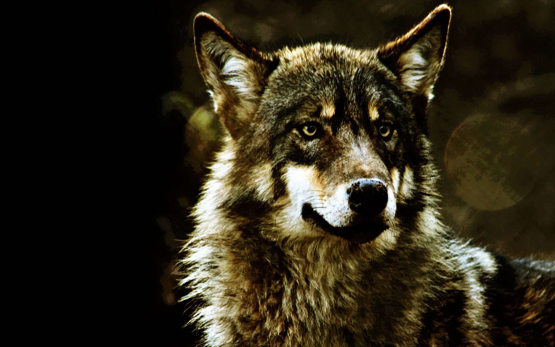 Arte de Lobo Genial Fondos de pantalla