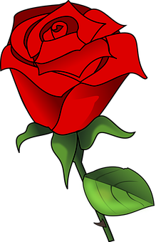 Arte de Rosa Roja Vectorial Fondos de pantalla