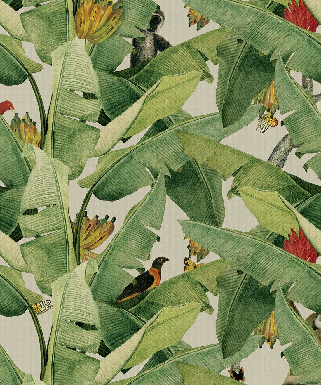 Arte de Selva de Hojas de Plátano Fondos de pantalla