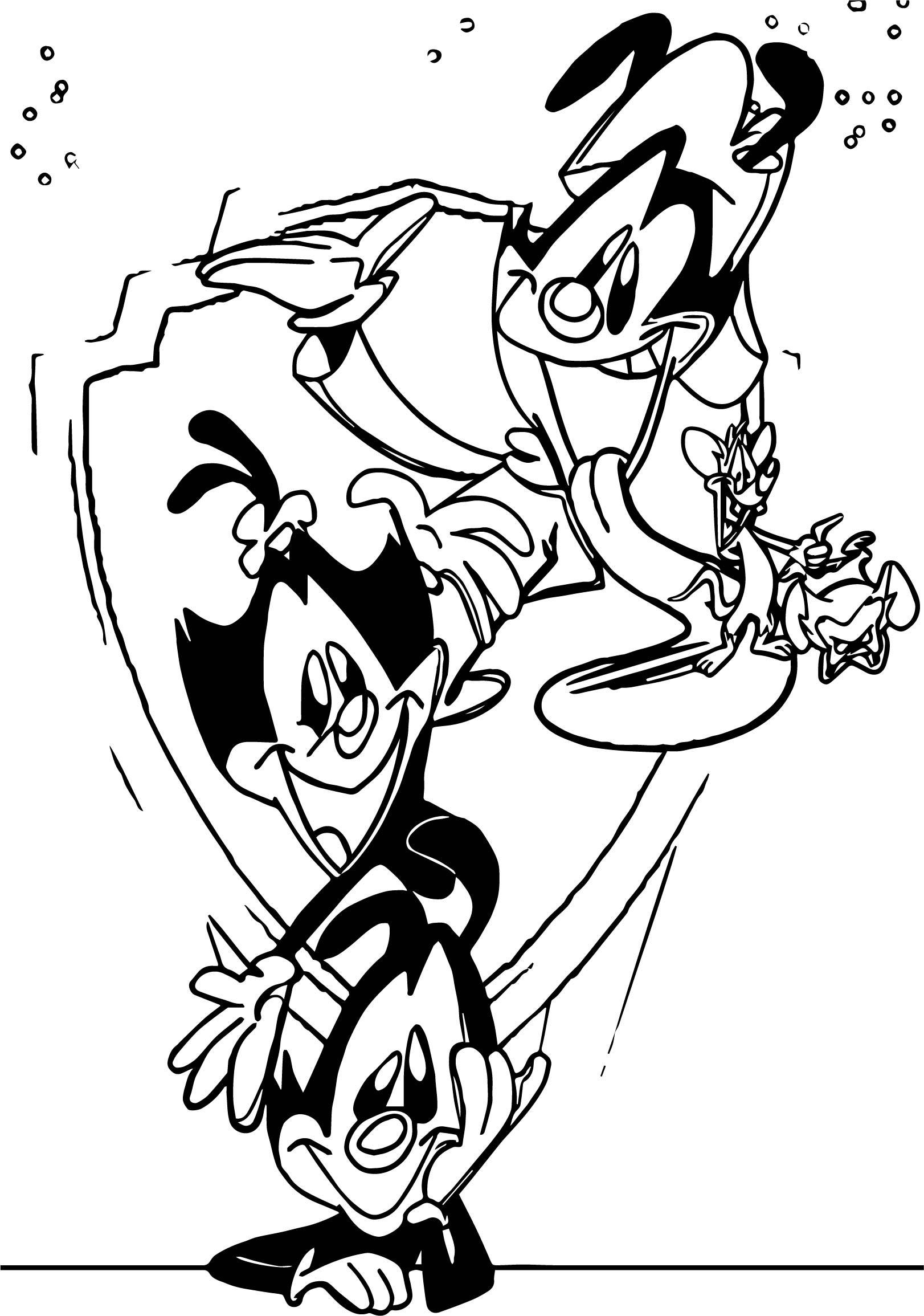 Arte en Boceto de los Hermanos Warner de Animaniacs Fondos de pantalla