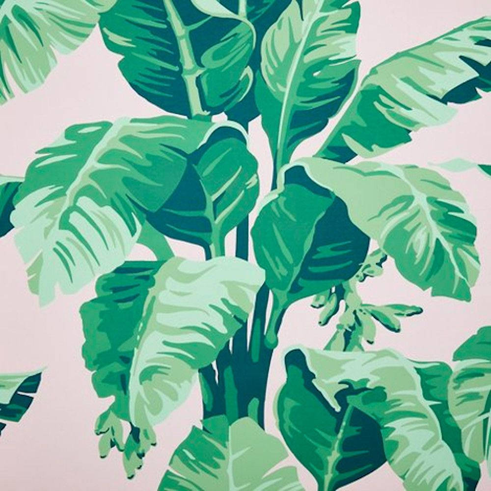 Arte Estético de Hojas en Verde Claro Fondos de pantalla