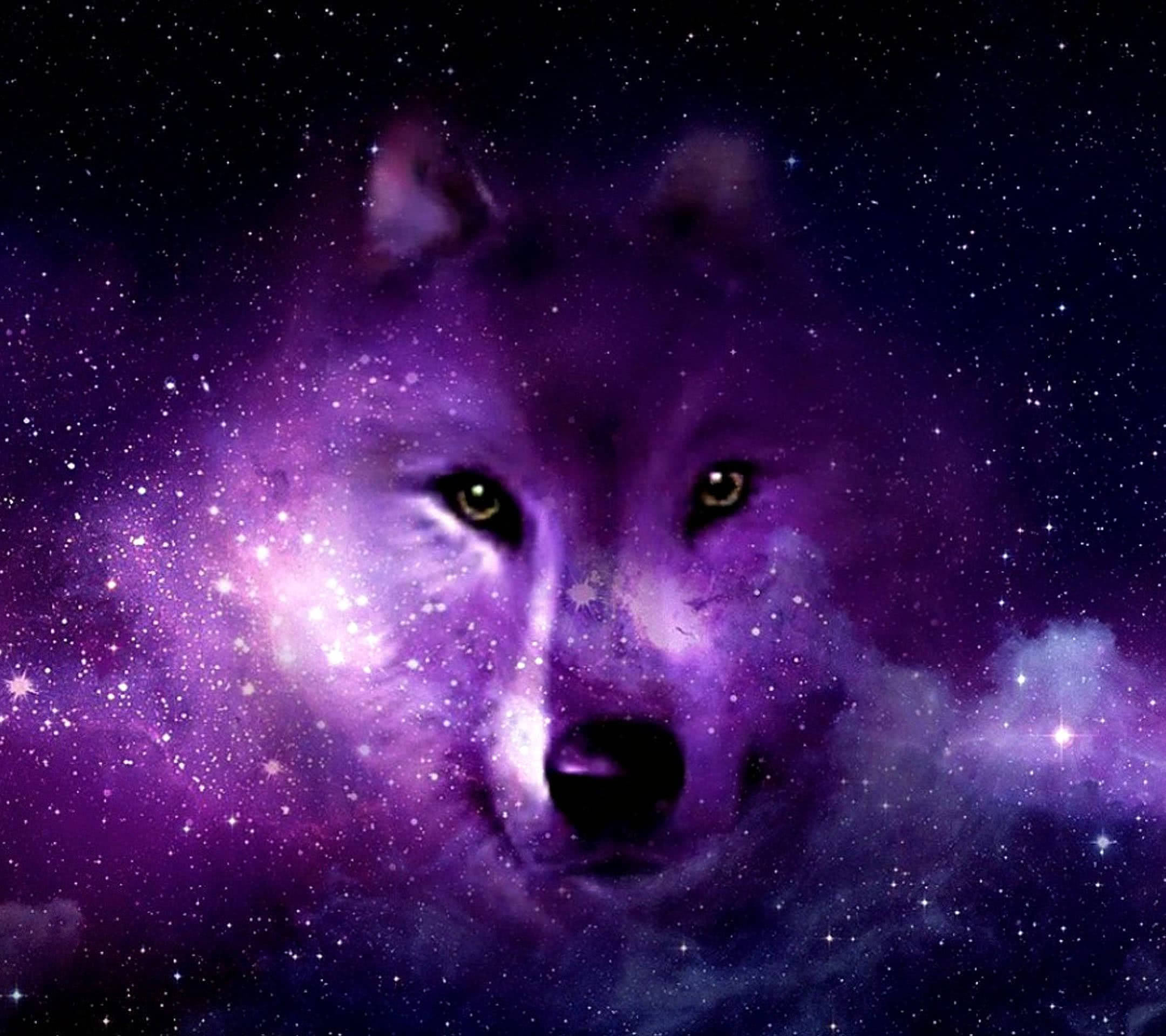 Arte Estético de Lobo Galáctico Fondos de pantalla