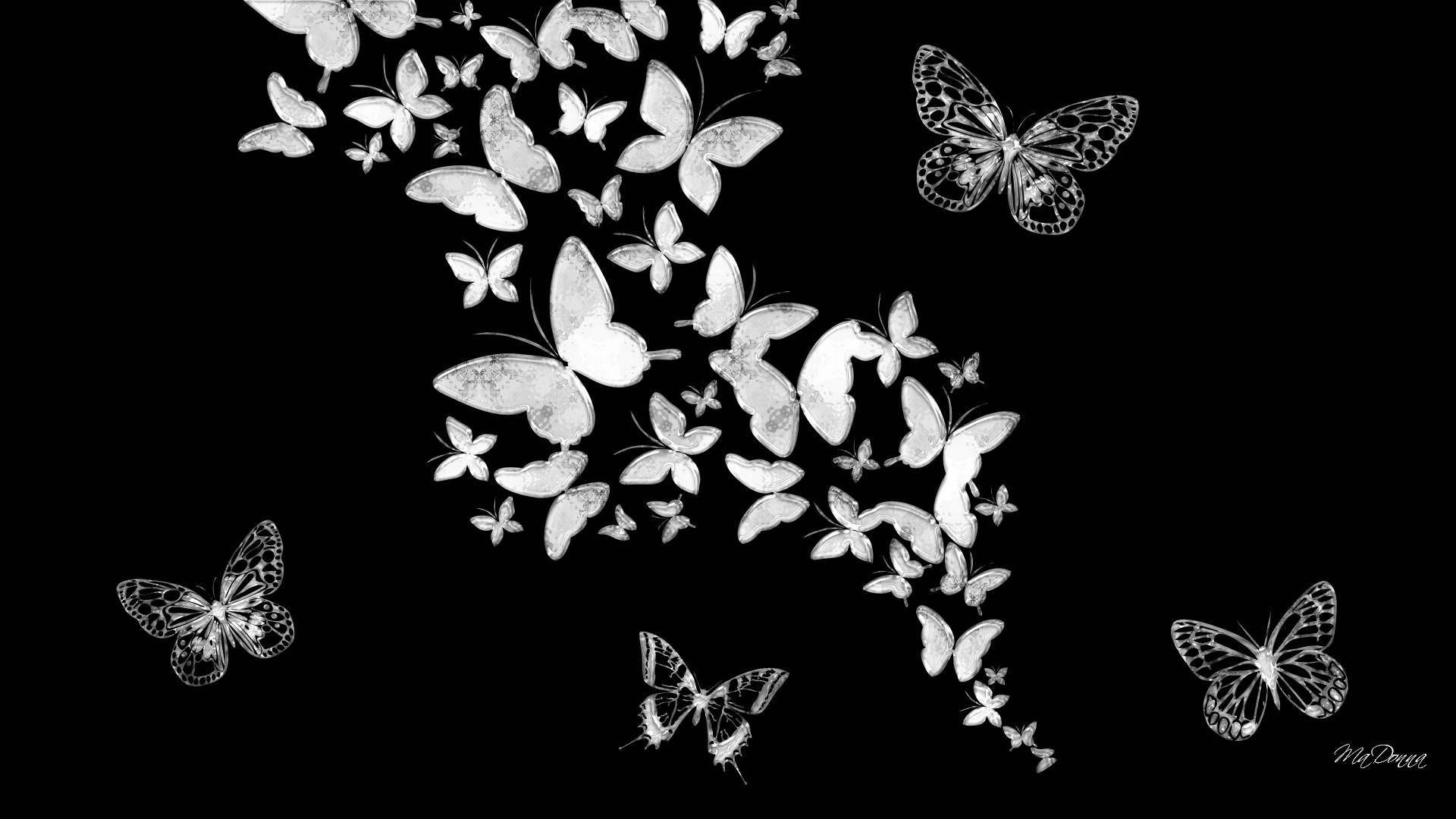Arte estético de mariposas en negro Fondos de pantalla