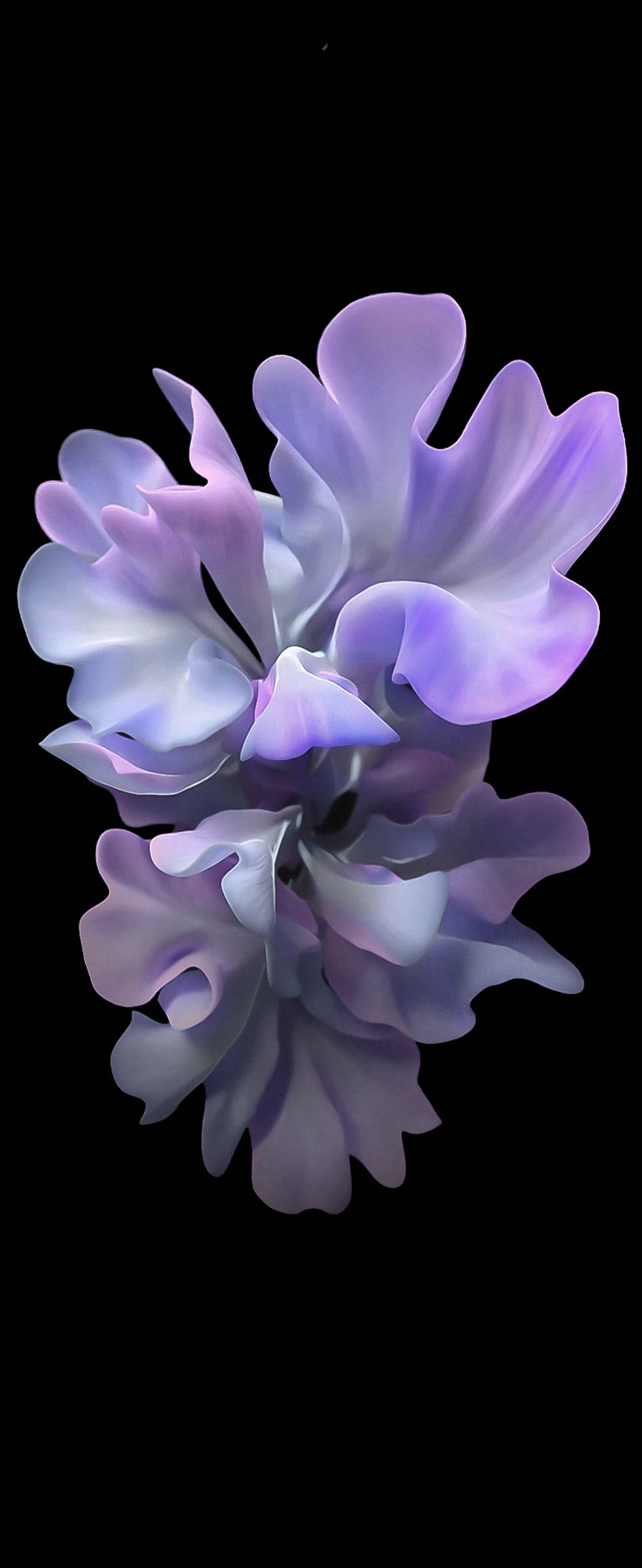 Arte de Flor Violeta Vibrante diseñado para Samsung S20 FE Fondos de pantalla
