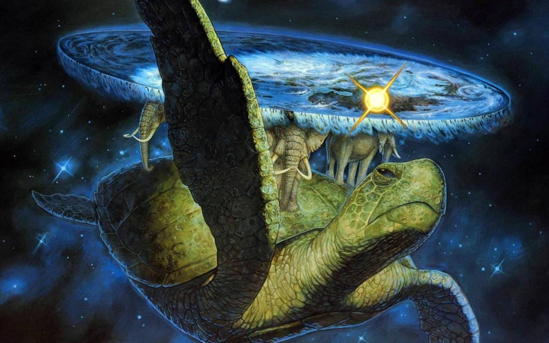 Arte Genial de Tortuga y Elefantes Fondos de pantalla