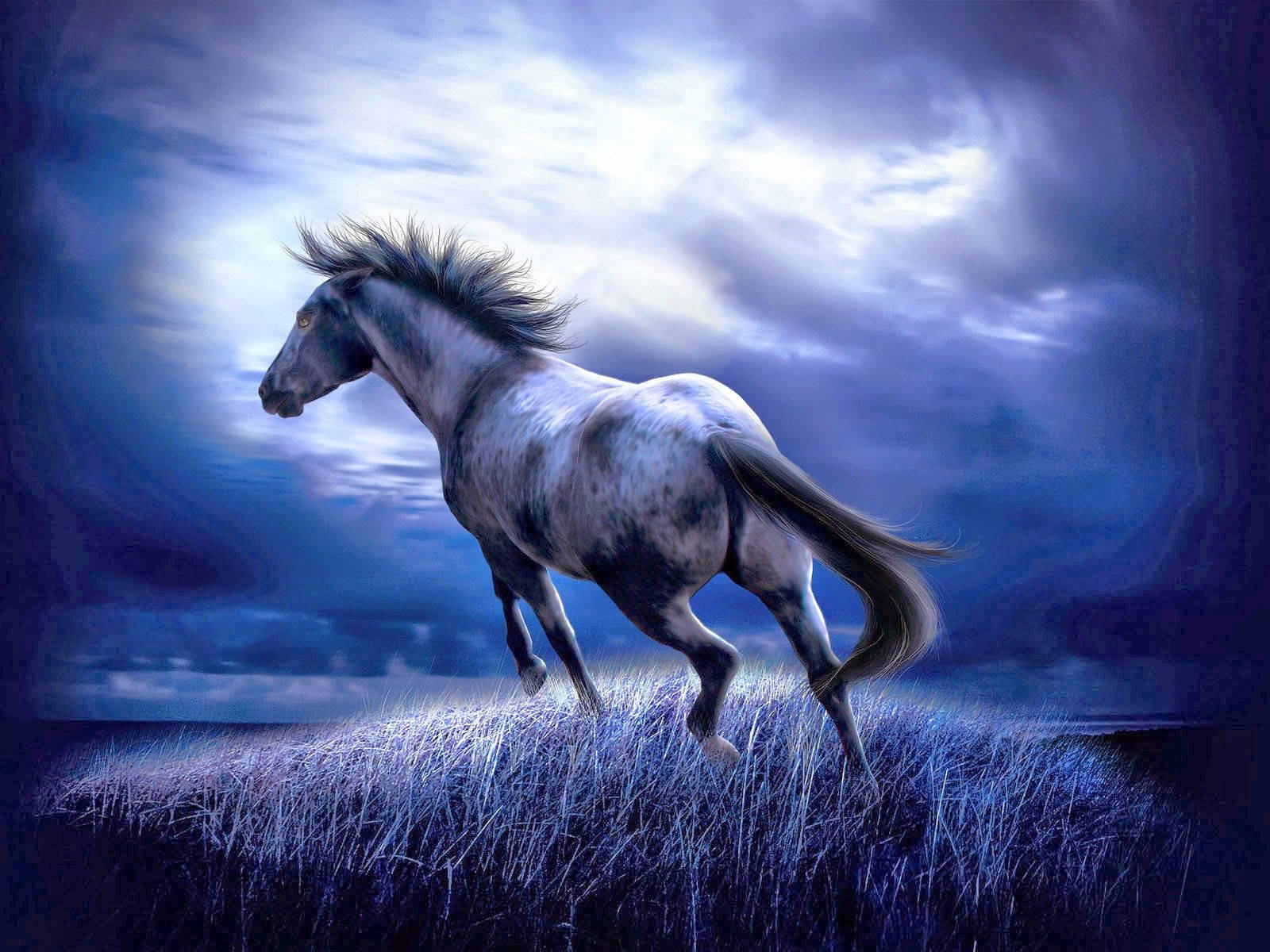 Arte gráfico de caballo lindo Fondos de pantalla