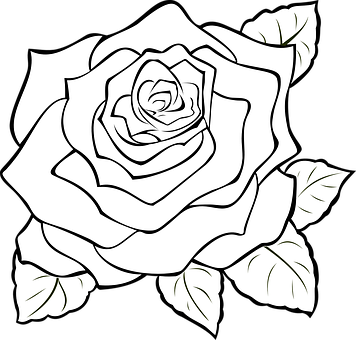 Arte lineal de rosa en blanco y negro Fondos de pantalla