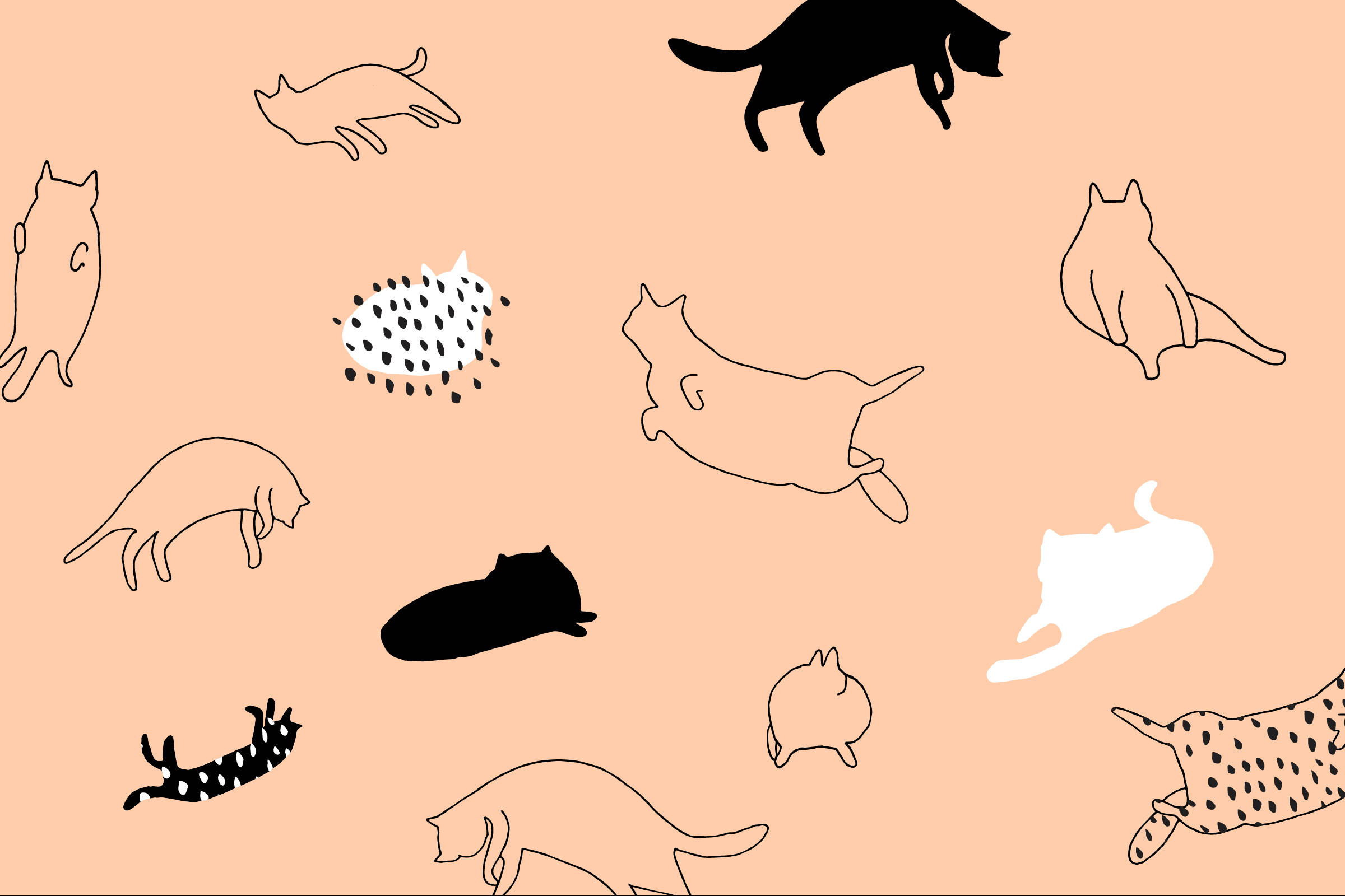 Arte minimalista de gatos caricaturescos Fondos de pantalla