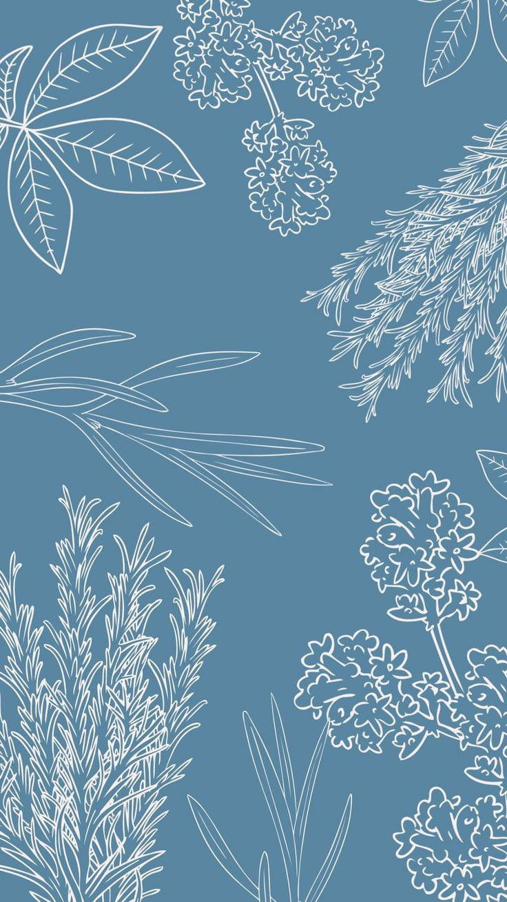 Arte simple de plantas en azul estético Fondos de pantalla