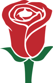 Arte vectorial de rosa roja Fondos de pantalla