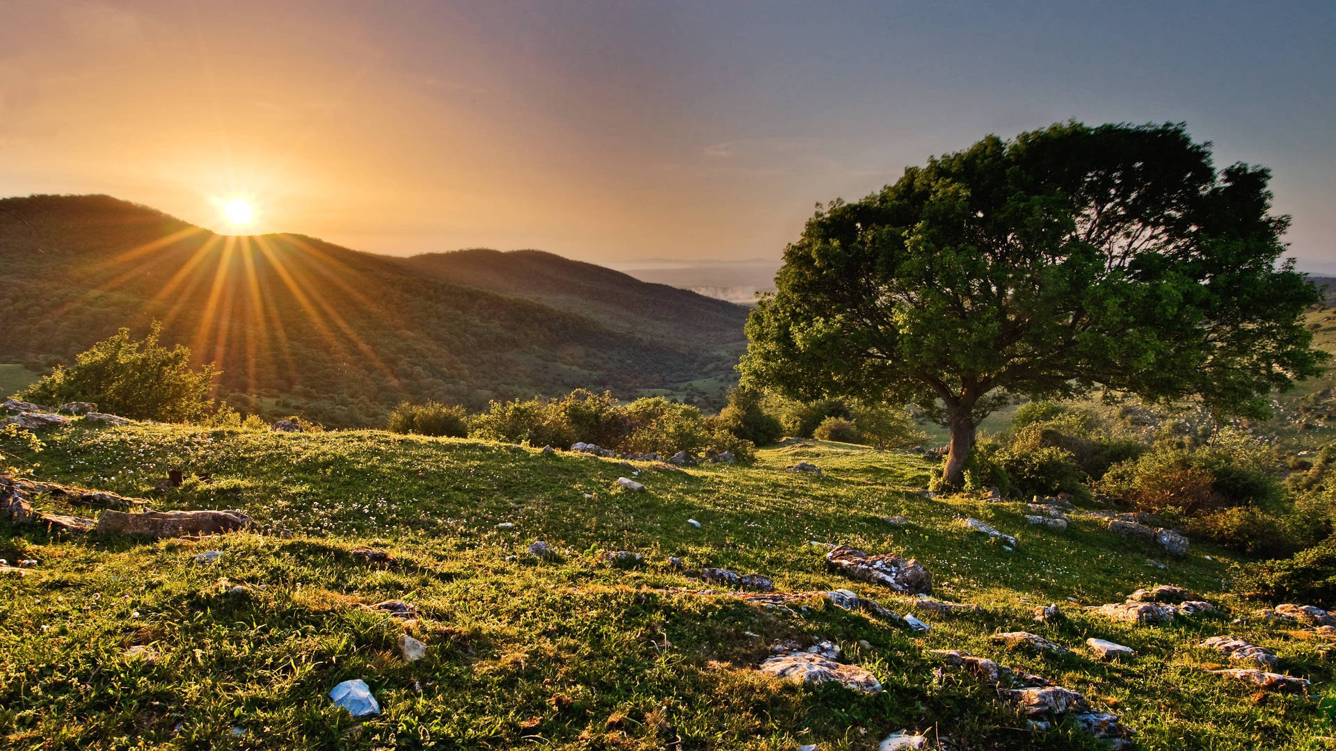 Atardecer 4K en la Naturaleza Sobre la Colina