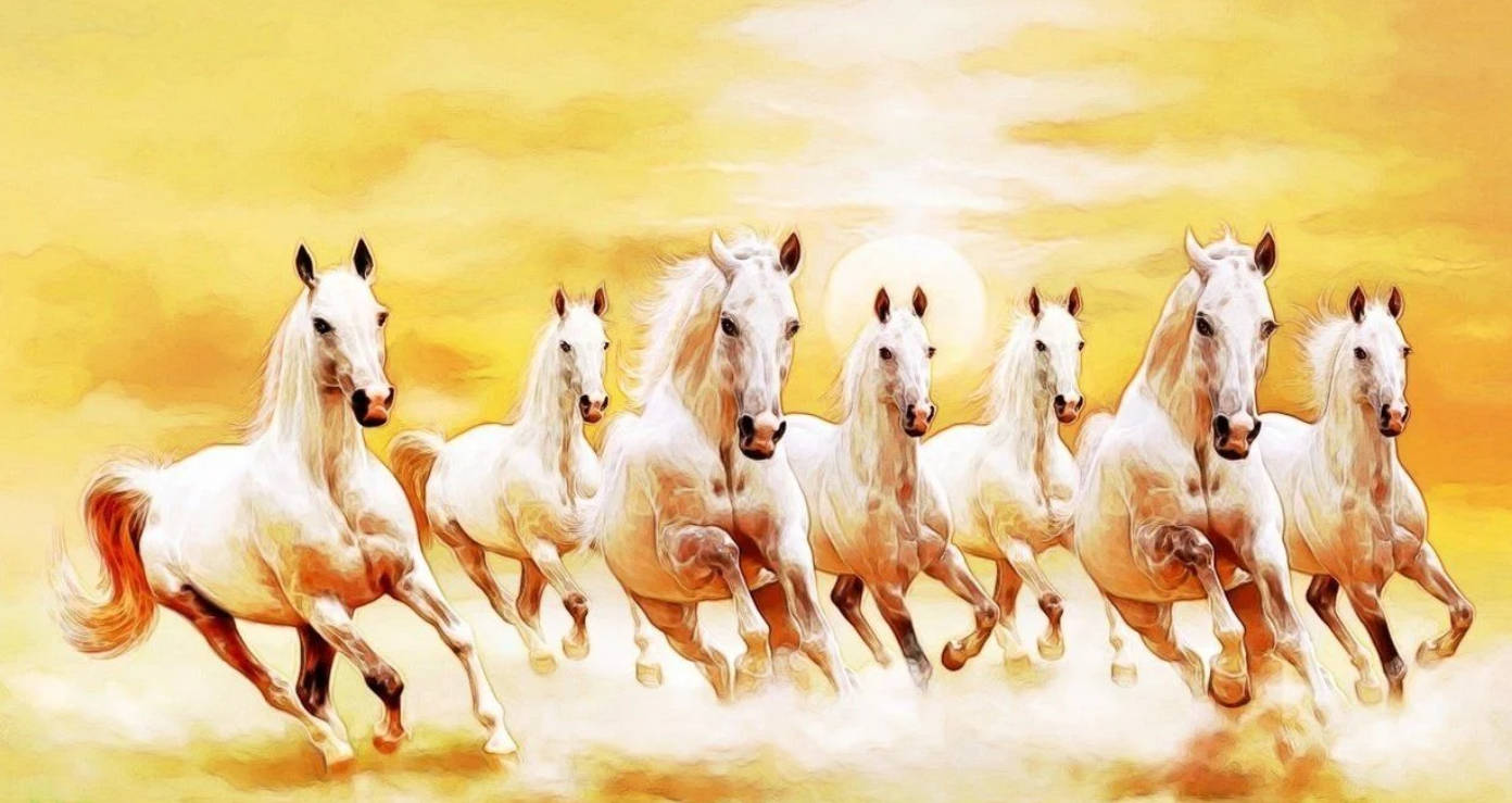 Atardecer con siete caballos Fondos de pantalla