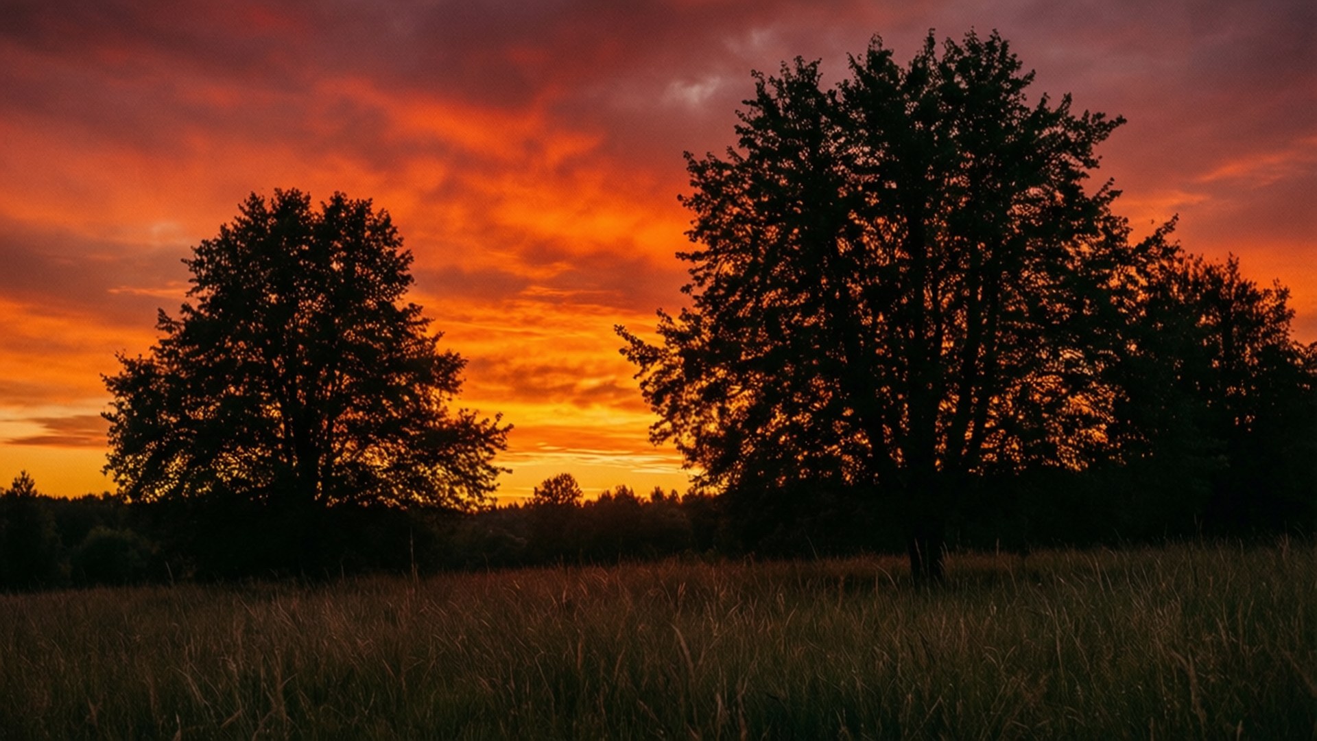 Atardecer de fuego en el prado Fondos de pantalla
