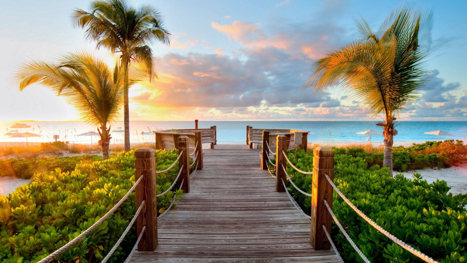 Atardecer de palmeras y muelle de madera Fondos de pantalla